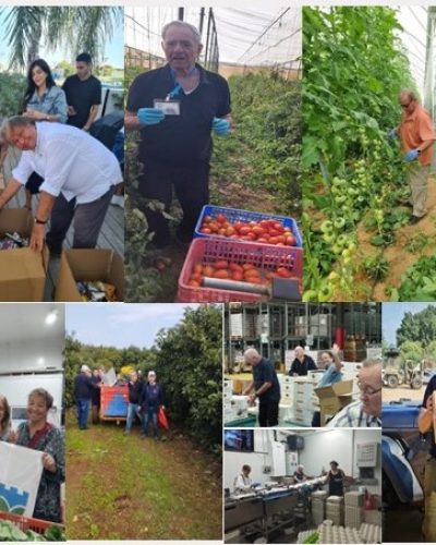 קולאז לאתר פעילות סניפים חרבות ברזל