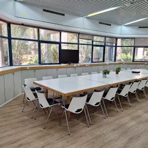 רימון 1